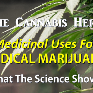 Medicinal Marijuana image