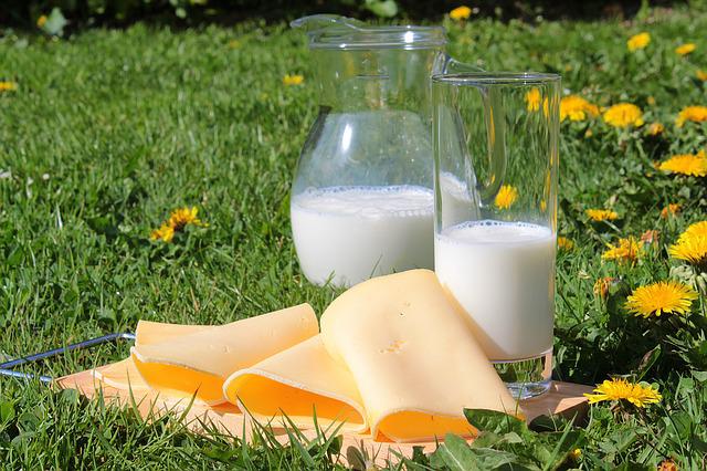 milk and cheese image